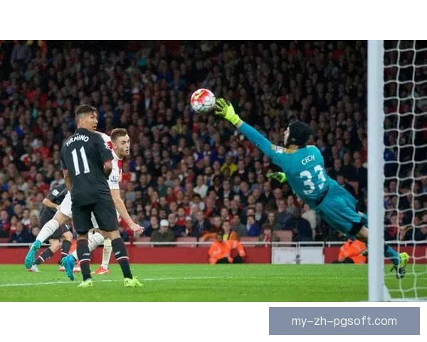 佩特·切赫从阿森纳退役后挑战冰球新领域成就运动传奇